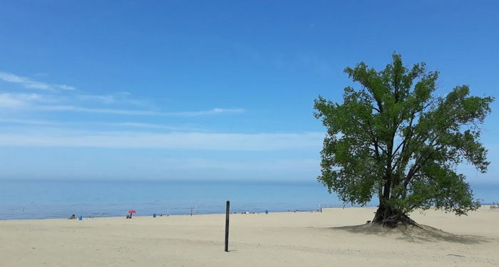 Warren Dunes State Park - 2023 Recent Photo From Website (newer photo)